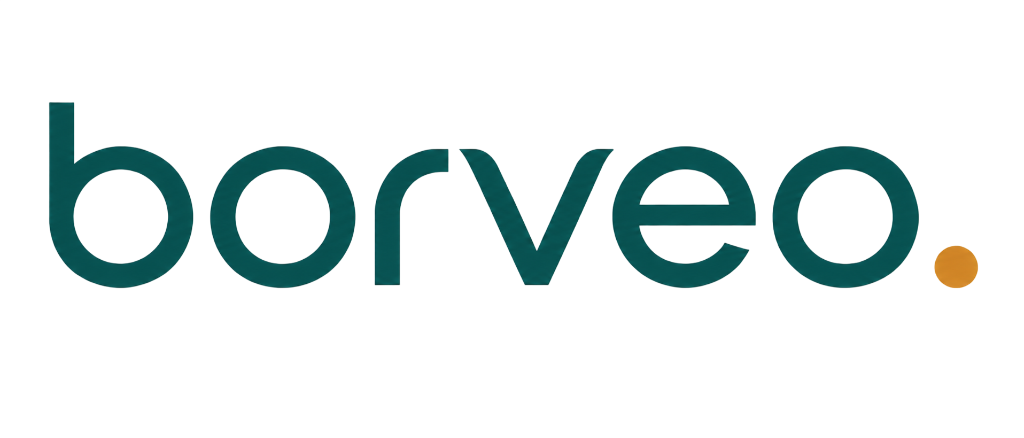Borveo logo